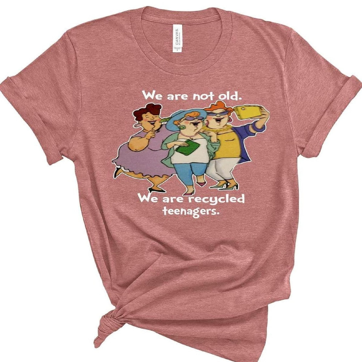Recycled Teenagers Funny Shirt, Soft Cotton Graphic Tee, Birthday Gift for Women