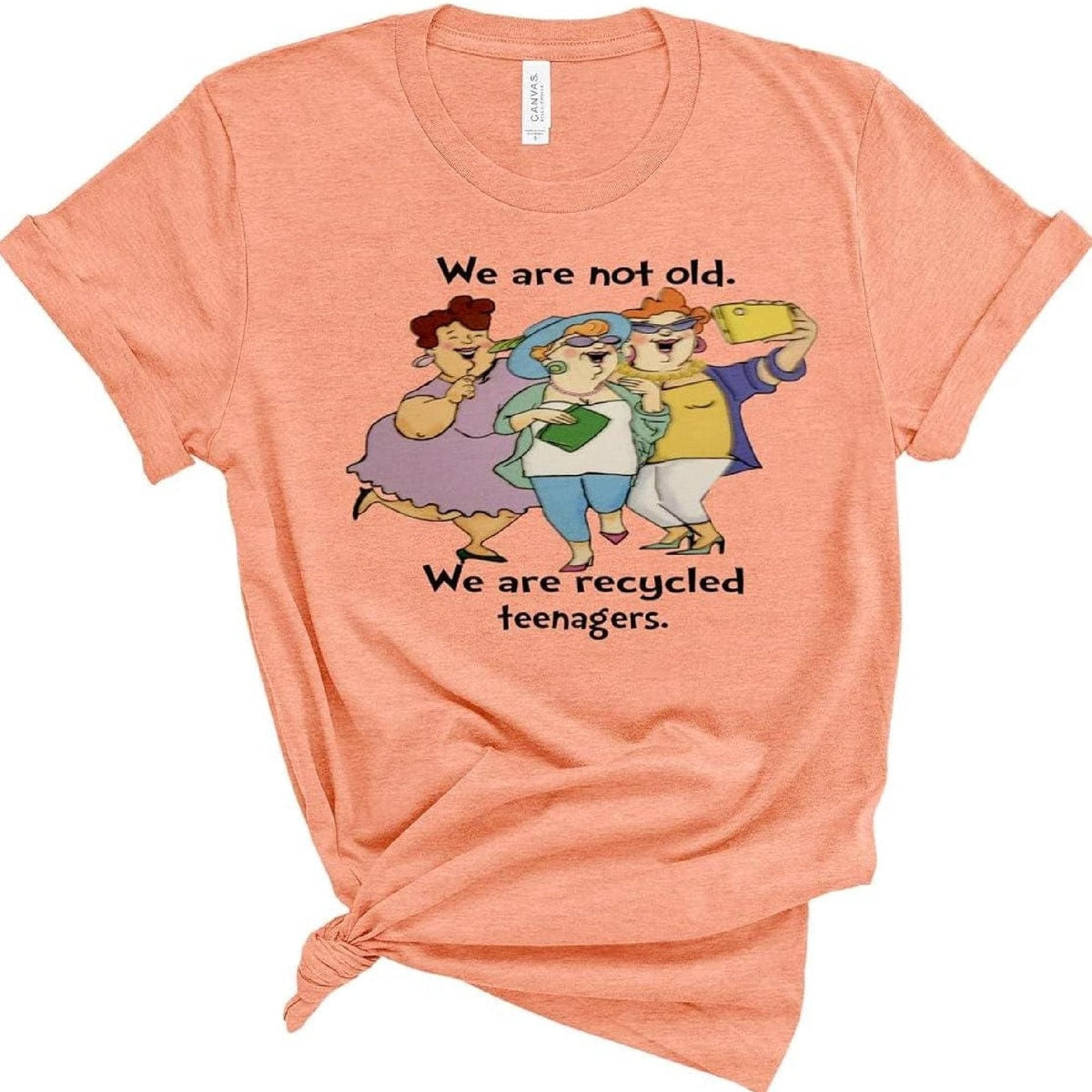 Recycled Teenagers Funny Shirt, Soft Cotton Graphic Tee, Birthday Gift for Women