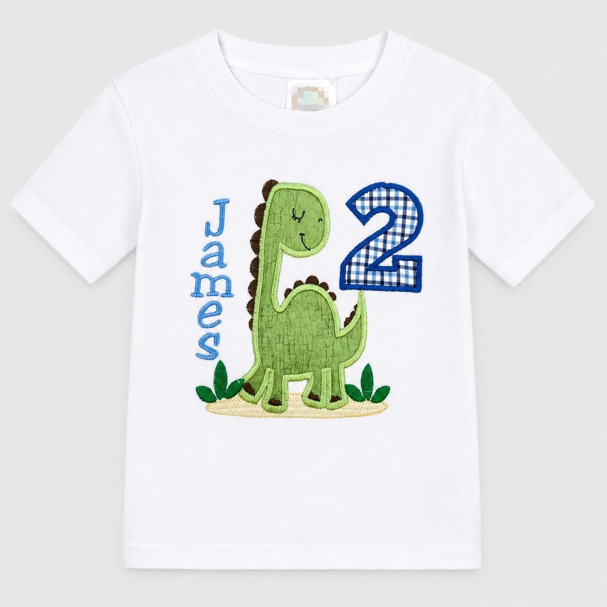 Dinosaurs Boys Personalized Birthday Shirt / Dino Embroider Shirt / Boys Custom Dino Shirt / Boys Dino Tee