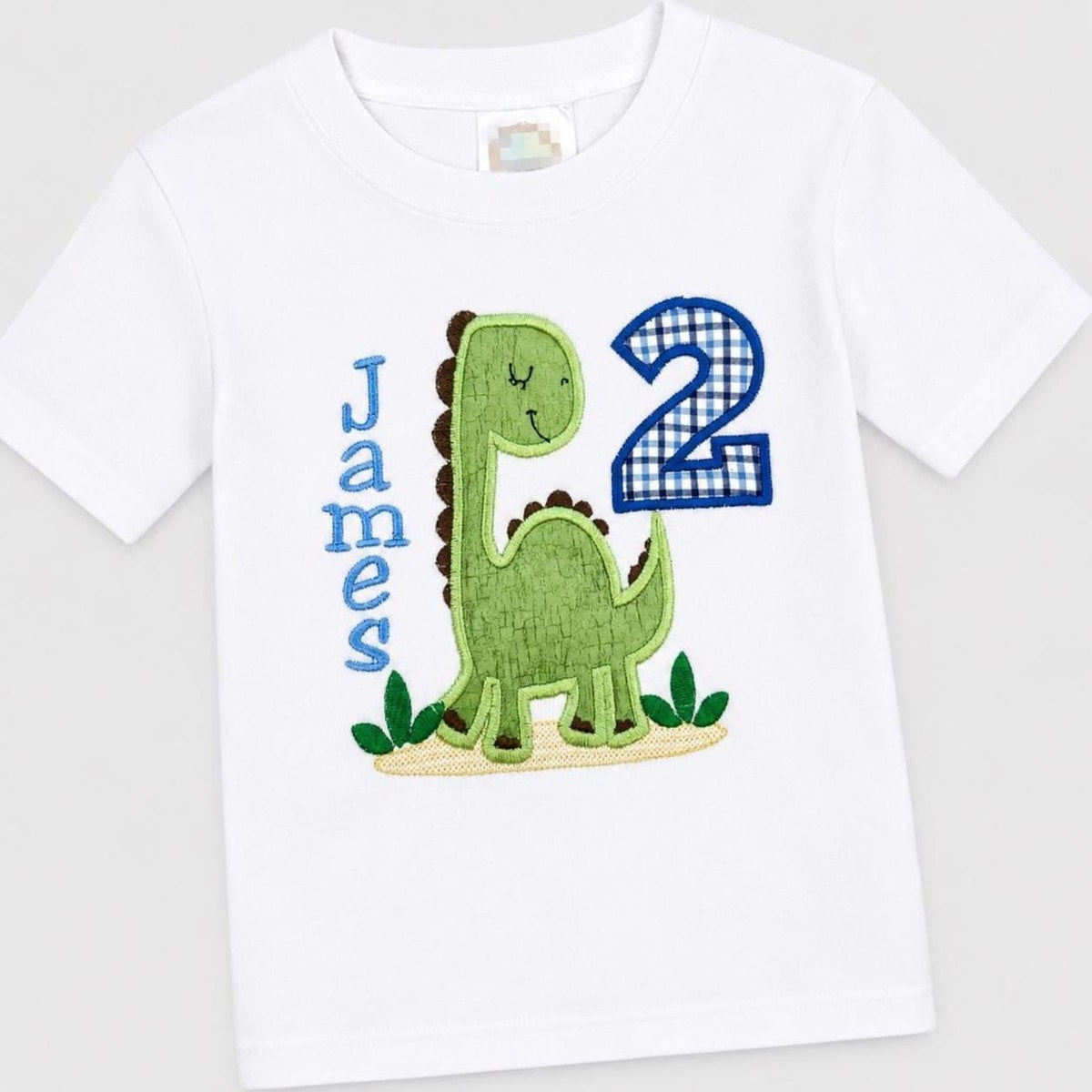 Dinosaurs Boys Personalized Birthday Shirt / Dino Embroider Shirt / Boys Custom Dino Shirt / Boys Dino Tee